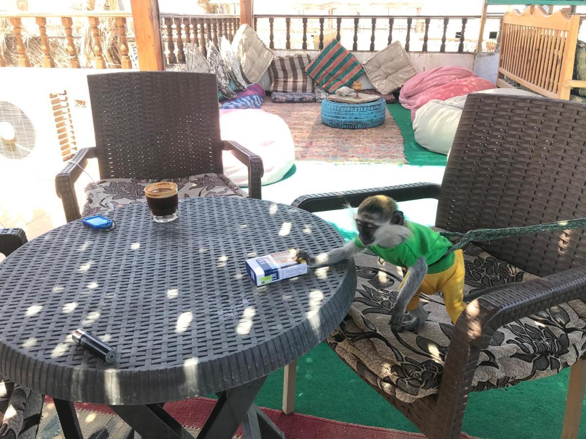 Gina Motel Dahab Luaran gambar